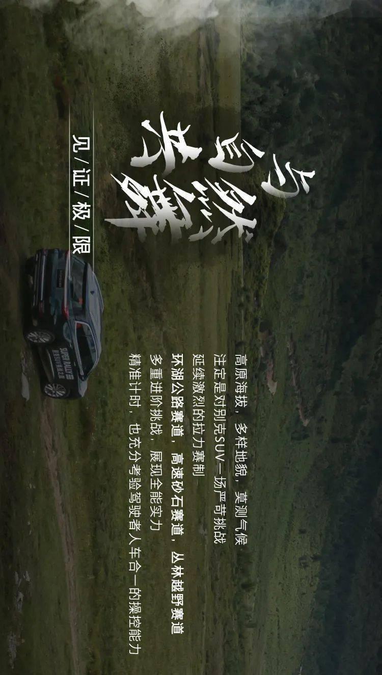 美妙冬季拼图